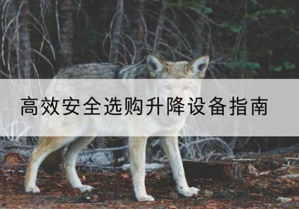 佛山升降货梯厂家推荐-*安全选购升降设备指南