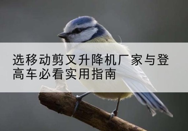佛山电动升降机厂家-选移动剪叉升降机厂家与登高车必看实用指南