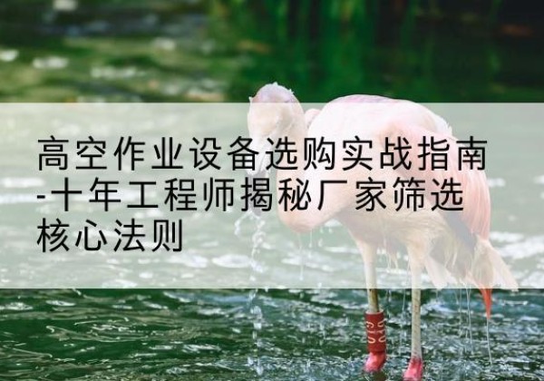 佛山剪叉式升降机厂家-高空作业设备选购实战指南-十年工程师揭秘厂家筛选核心法则